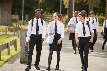 Group Of Teenage Students In Uniform Outside School Buildings - obrazy, fototapety, plakaty