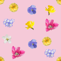 spring flowers seamless background pattern