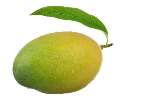 Mango With Leaf Isolated