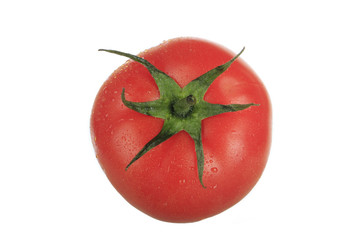 tomato isolated