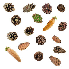 set of cones isolated