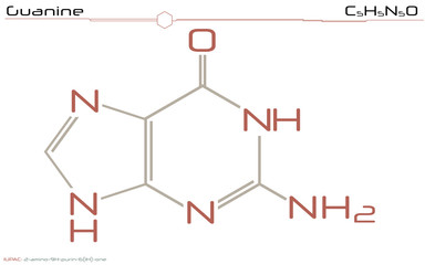 Infographic and molecular informations about Guanine.