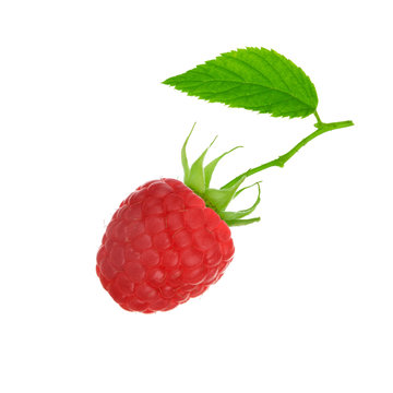 raspberry with leaf isolated