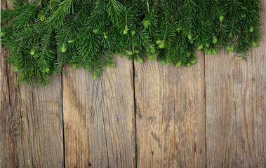 branches of fir on wooden background