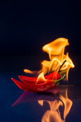chili pepper red on fire, burning pepper, hot pepper, on a red and black background