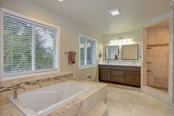 Master bathroom Design With Luxury tub and walk-in shower
