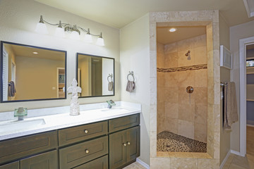 Fototapeta na wymiar Master bathroom Design With double vanity and walk-in shower