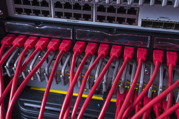Internet wires in the server cabinet