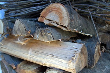 legna da ardere camino o stufa