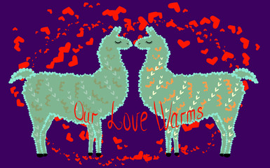 Two lovers, kissing llamas surrounded by hearts. Love is in the air. Inscription Our love warms, postcard, Valentine's Day