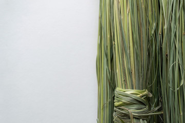 A bunch of dry green lemongrass on a white background