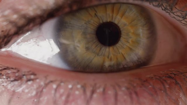 SLOW MOTION CLOSE UP: Pretty green eye frantically looking around bright room. Woman wearing mascara opens eye to continue reading. Iris moving from side to side and pupil contracting and expanding.