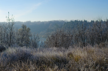 winter landscape in the early morning