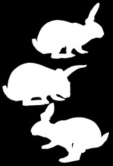 three rabbit silhouettes collection isolated on black