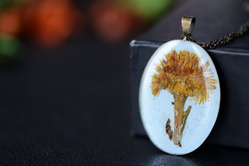 Resin pendant with dry coltsfoot flower on a darck backgroundd close up