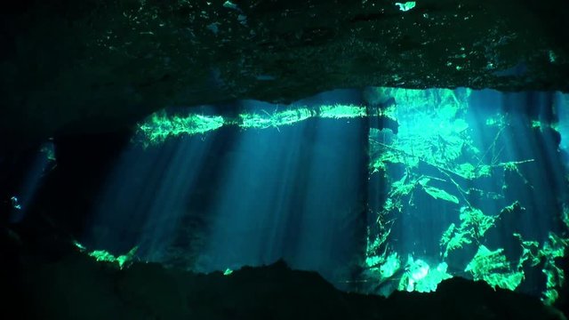 Scuba diving in caves of Yucatan cenotes underwater. Clean and clear underground water in reflection of sunlight.