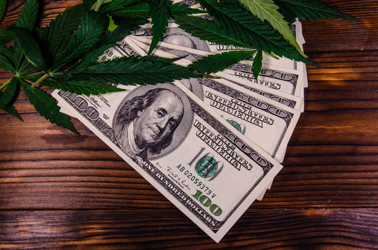 Leaves of the cannabis plant and one hundred dollar bills on wooden table. Top view