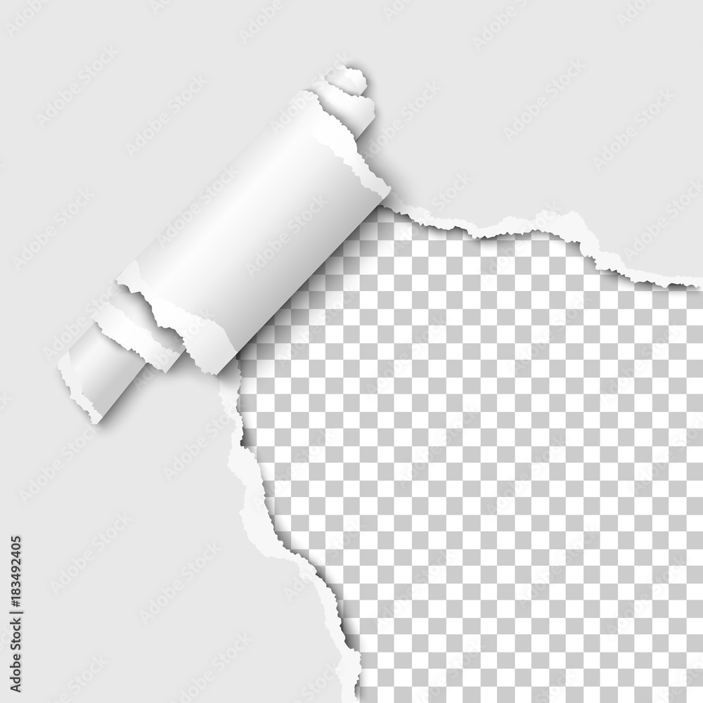 Wall mural torn lower right corner of the white sheet of paper with paper curl. transparent background of the r