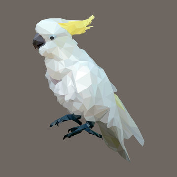 Polygonal Sulphur Crested Cockatoo, Geometric Polygon Bird, Isolated Vector Animal