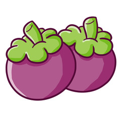 Funny and yummy mangosteen ready to eat - vector.