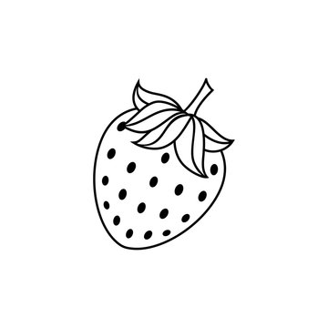 vector flat sketch style black and white contour strawberry. Isolated illustration on a white background. Healthy vegetarian eating, dieting and lifestyle design object.