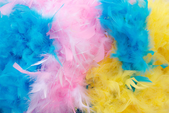Colourful feather boa background: blue, pink and yellow © Angela Bragato