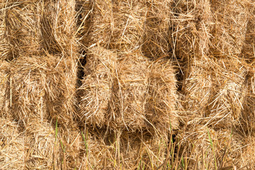 Pile of straw background