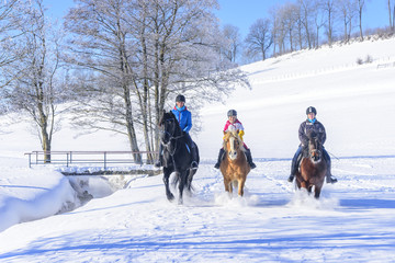 Reiten im Winter