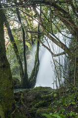 Waterfall in Ireland
