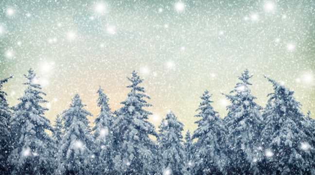 Blurred natural background. Winter in the forest. Snowfall. Christmas night.