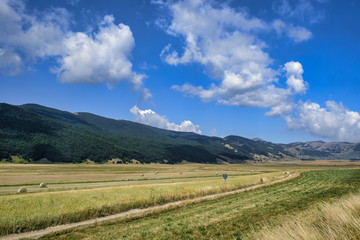 Fototapeta na wymiar Mountain landscape in Abruzzi at summer