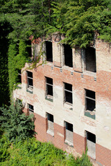 Ruine im Wald