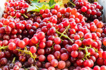 Red seedless grapes with leaves