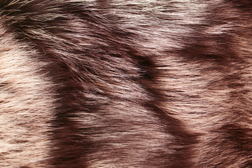 Dyed furry coat in brown or red color, close up.