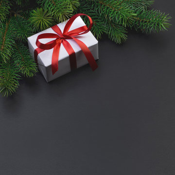 Christmas tree branch and gift box