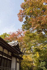 Fototapeta premium Hamacho Park in autumn