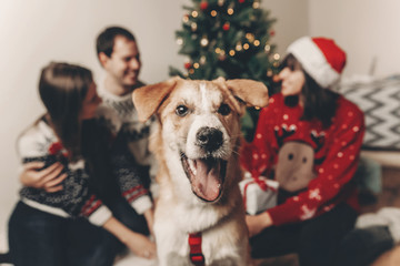cute funny dog looking in front and happy stylish family in festive sweaters having fun at christmas tree lights. merry christmas and happy new year concept. happy holidays. space for text