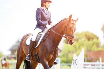 Obraz premium Young rider woman on her bay horse on advanced test dressage competition at sunny day