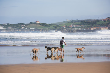 Chico paseando por la orilla de la playa con sus perros
