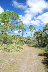 Florida State Park