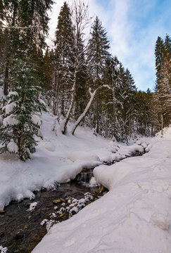 brook with cascades in winter forest. lovely winter nature scenery