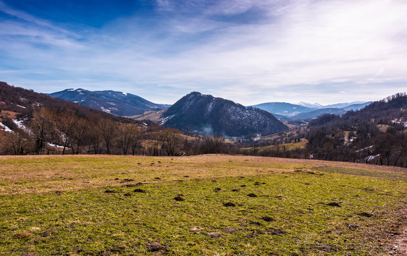 grassy field on an slope in springtime. lovely countryside landscape in Carpathian mountainous area