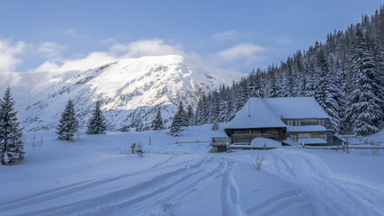 Winter morning in snowy valley in Tatra Mountains