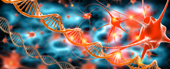 Active nerve cells and DNA