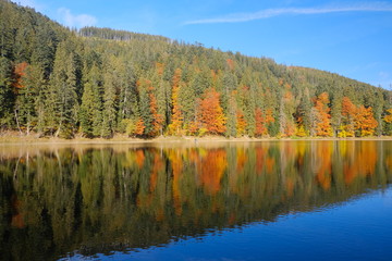 Synevyr mountain lake in Carpathian mountains, Ukraine