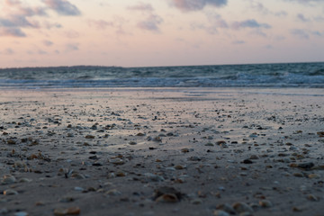 Muscheln am Strand