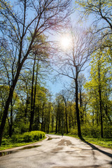 landscape on a sunny spring day