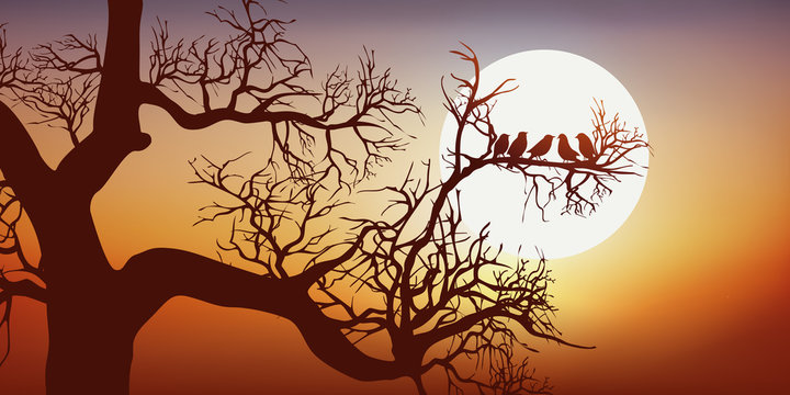 oiseau - arbre - branche - coucher de soleil - nature - calme - symbole - liberté - bonheur - concept - naturel