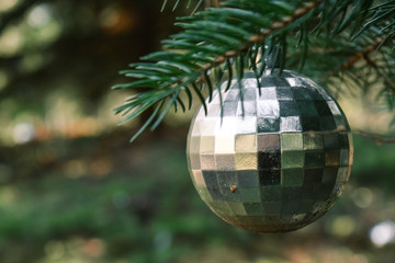 Silver Christmas Decoration on Pine