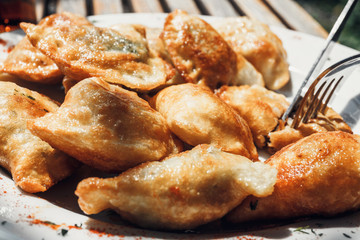 Fried dumplings on white plate, close up